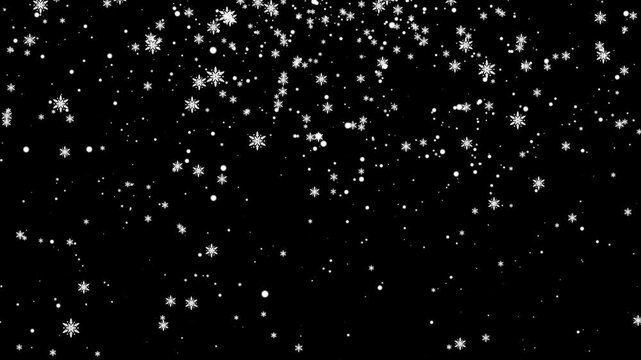 Snowfall animation with realistic white snowflakes drifting gently on black background for winter holiday motion graphics