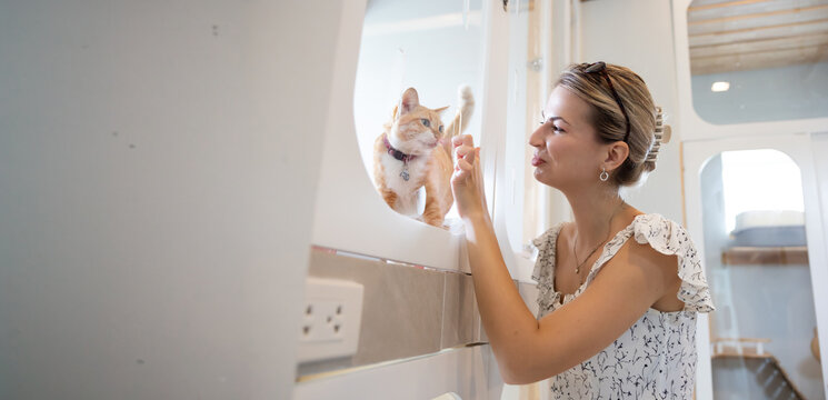 Ensure the well-being and mental health of pets. pets and pet sitter. Smiling woman pet sitter plays with relaxed cat sprawled on floor at comfortable pet hotel. Cat room and in hotel, pet care