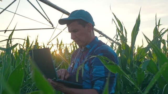 Farmer looks at horizon while holding laptop in corn field under irrigation pivot. Worker surveys land with laptop technology. Farmer monitors field at sunset. Corn field work with laptop.