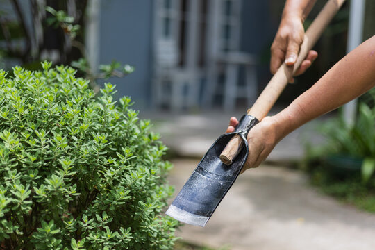 An senior man repairing and attaching a wooden handle to a narrow spade blade in a backyard garden.