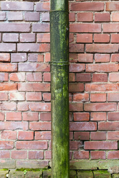 A drainage pipe stands firmly against a brick wall, covered in moss and dirt