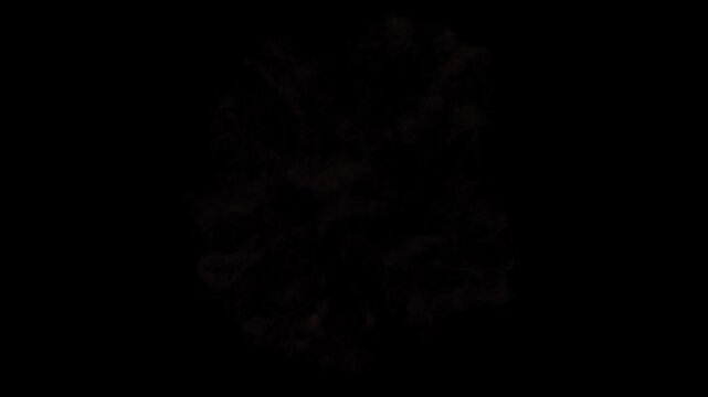 A 3-in-1 4K CGI collection featuring a fiery shockwave viewed from three different angles. Each flame shockwave appears, expands, and dissipates on a black background, suitable for explosions, impacts