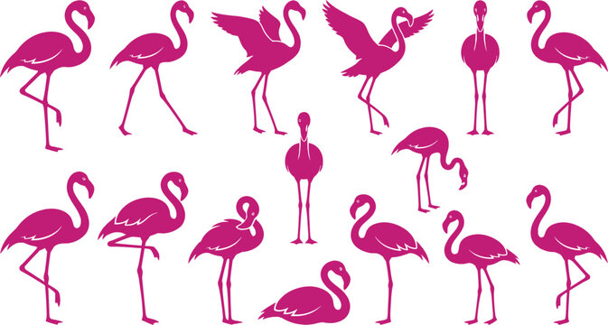 Breast cancer awareness vector bundle halloween themed pink flamingo collection featuring various poses and silhouettes for creative graphic design projects and prints