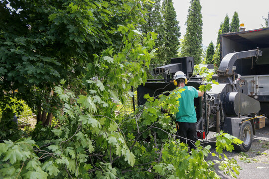 Travaux d'&eacute;lagage avec un broyeur d'arbres	
