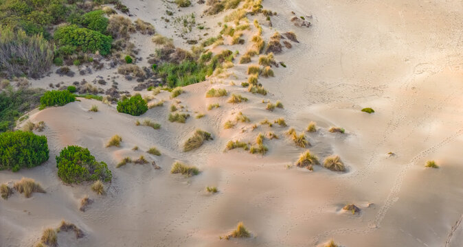 Aerial view of natural coastal sand dunes with wind-shaped sand formations, native dune grasses, and Mediterranean vegetation illuminated by warm sunrise light in France.