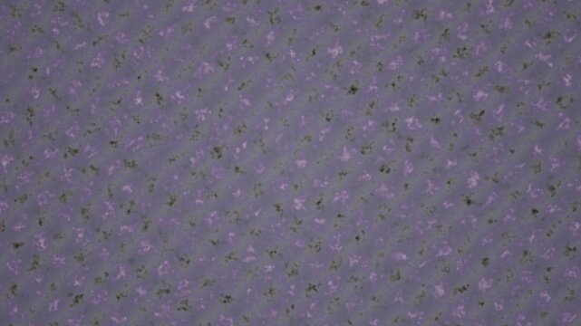 Seamless pattern featuring repeating purple and green floral shapes on a gray background