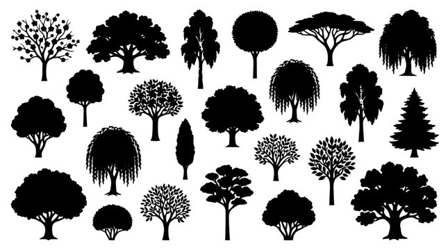 Varied black tree silhouette icon set featuring oak pine willow and garden shrub symbols isolated on white background
