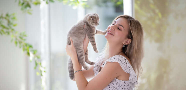 Portrait of smiling woman with her cat at home, Scottish gray fold cat sitting on table, Caucasian woman use tablet computer at home
