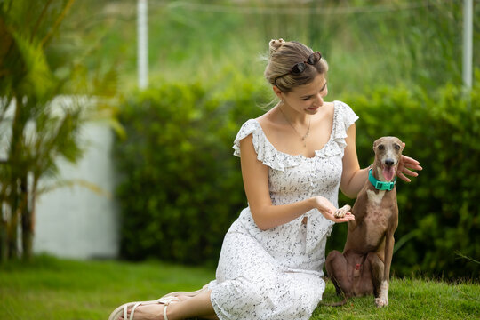 young caucasian woman embraces her gray Italian Greyhound dog, appearing relaxed and content. Home pets. woman holding and hugging her cute dog while walking in the park Outdoor