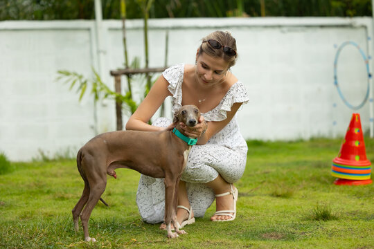 young caucasian woman embraces her gray Italian Greyhound dog, appearing relaxed and content. Home pets. woman holding and hugging her cute dog while walking in the park Outdoor