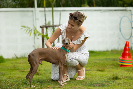 young caucasian woman embraces her gray Italian Greyhound dog, appearing relaxed and content. Home pets. woman holding and hugging her cute dog while walking in the park Outdoor