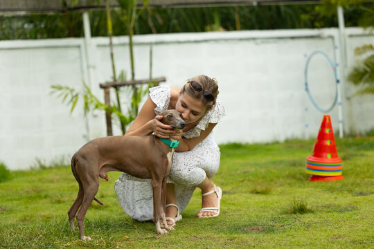 young caucasian woman embraces her gray Italian Greyhound dog, appearing relaxed and content. Home pets. woman holding and hugging her cute dog while walking in the park Outdoor