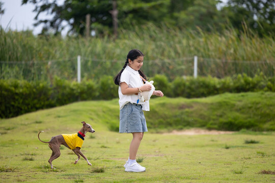 young caucasian woman embraces her gray Italian Greyhound dog, appearing relaxed and content. Home pets. woman holding and hugging her cute dog while walking in the park Outdoor