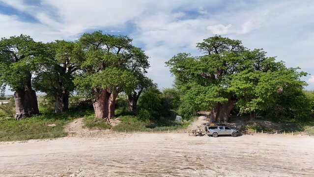 Aerial view of Khama Rhino Sanctuary featuring large baobab trees, a sandy clearing, and a parked pickup truck with people resting in Paje, Central District, Botswana.