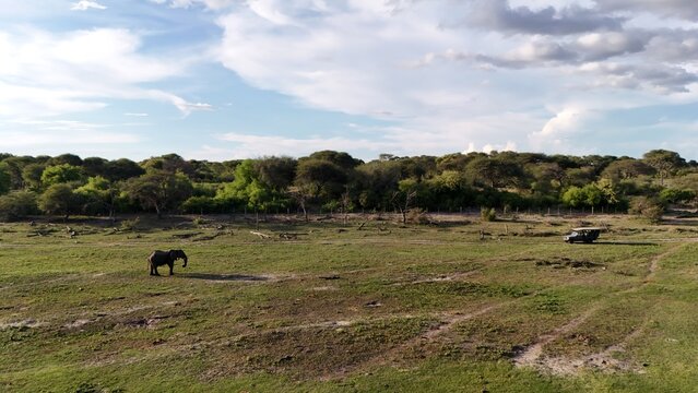 Aerial view of an elephant grazing in the savanna near a safari vehicle at Khama Rhino Sanctuary in Paje, Central District, Botswana.