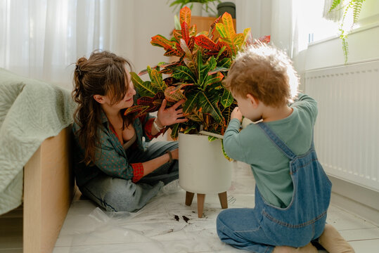 A curious boy explores a colorful potted plant with leaves on a bright airy floor. The happy child touches indoor plant greenery while the warm mom smiles caring for foliage in a cozy home.