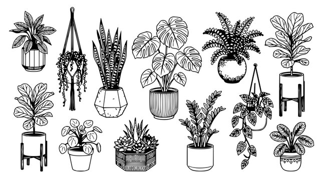 Minimalist line art potted plants set with geometric leaves featuring succulents, cacti, and leafy greenery with clean strokes and modern design
