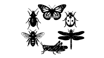Obraz premium Circular insect set with detailed wings, legs, and antennae featuring butterflies, bees, beetles, and dragonflies with vibrant colors and clean lines