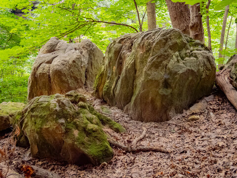 Large weathered mossy sandstone boulders resting on a forest floor surrounded by lush green foliage at Starved Rock State Park