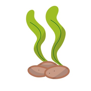 Green seaweed growing on rocks under water vector illustration isolated on white background