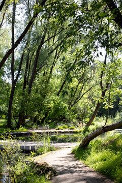 Vertical shot of a footpath running along a clear stream with green trees and a small bridge in Sarzhyn Yar park in Kharkiv, Ukraine.