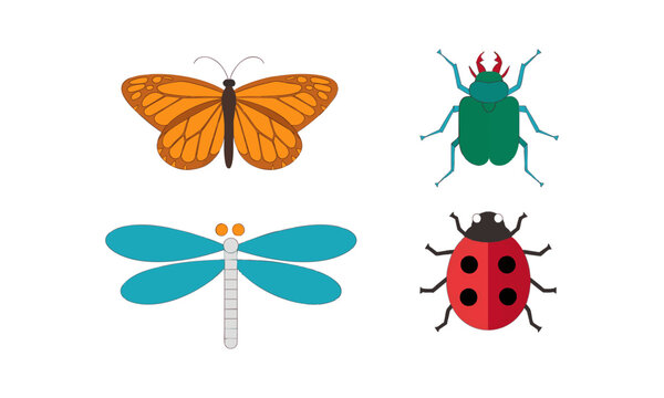 Garden Insects Flat Illustration Set.