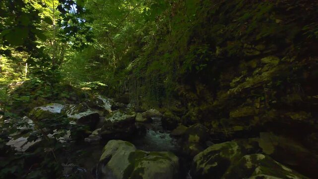 Forest Creek FPV Drone Tracking Shot Through Serene Mossy Rocky Gorge in Lush Summer Woodland