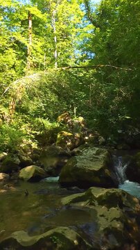 Forest creek flowing over mossy boulders in sunlit summer woodland tranquil fpv drone flying forward tracking shot