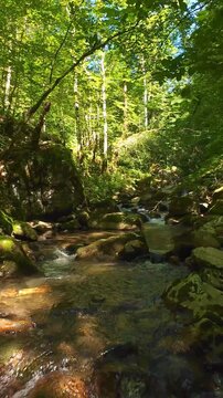 Forest creek flowing over mossy rocks in serene summer woodland FPV drone tracking shot through peaceful green forest