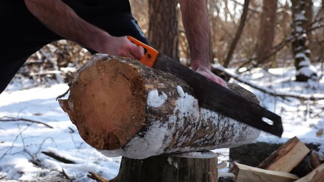 Male hand sawing a log in sunny winter forest. Strong guy working with a saw in snowy woodland. Concept of strength, masculine, energy, and harmony with nature during cold season. Slow motion