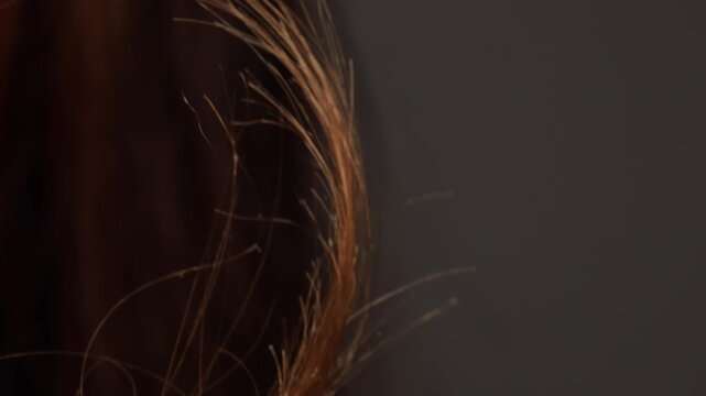 close up of dry damaged hair with split ends in backlight, macro shot of frizzy flyaway strands against dark background, hair damage detail with copy space, concept of hair care cosmetics, salon treat