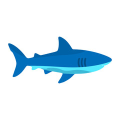 Fototapeta premium Shark Sea Animal Icon