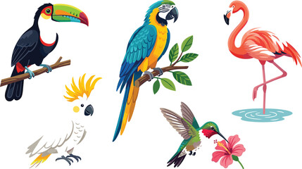 Exotic Tropical Birds Vector Illustration Set with Toucan Macaw Parrot Flamingo Cockatoo and Hummingbird Drinking nectar from Hibiscus Flower © AdhinChandra