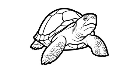 Fototapeta premium Turtle line art illustration. Hand drawn tortoise sketch for coloring book page.