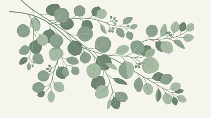 Elegant eucalyptus branch illustration with soft green foliage and seeds on a minimalist cream background for botanical decor © john