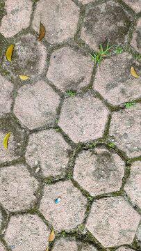 Geometric path of interlocking hexagonal concrete pavers showing wear, moss, stray autumn leaves of landscape architecture for textures, design inspiration, environmental photography on infrastructure