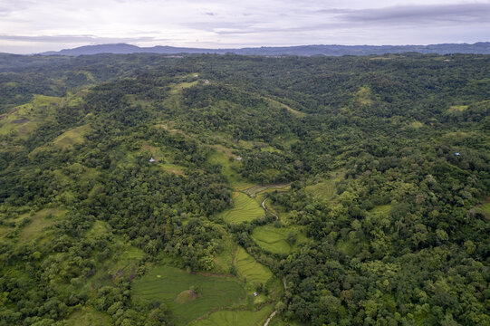 Aerial view of Dede Kadu featuring lush green tropical hills and terraced rice fields in the rural landscape of Loli, East Nusa Tenggara, Indonesia.