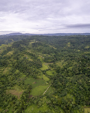 Aerial view of Dede Kadu featuring lush green hills, terraced rice fields, and dense tropical vegetation under a cloudy sky in Loli, East Nusa Tenggara, Indonesia.