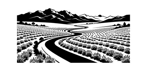 Fototapeta premium Curvy road winding through a field of crops with mountain background