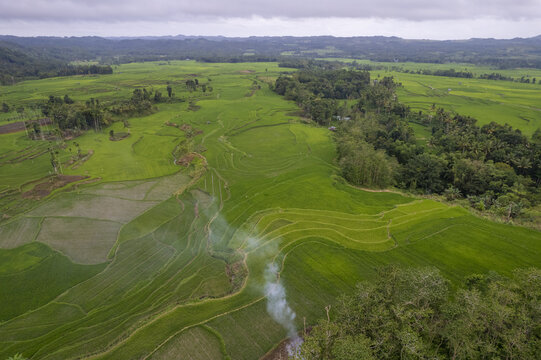 Aerial view of lush green rice terraces in Sumba with smoke rising from a small fire in the fields, surrounded by rolling hills and trees in East Nusa Tenggara, Indonesia.