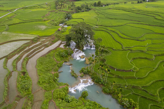 Aerial view of Wee Kacura waterfall cascading through vibrant green terraced rice fields in Kecamatan Wewewa Timur, Sumba, Indonesia.