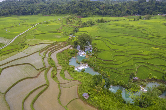 Aerial view of Wee Kacura waterfall surrounded by vibrant green rice terraces and lush tropical vegetation in Kecamatan Wewewa Timur, Sumba, Indonesia.