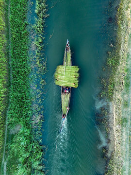 Aerial view of a wooden boat loaded with harvested green jute plants moving along a narrow river, with lush vegetation on the banks in Kushtia, Khulna Division, Bangladesh.