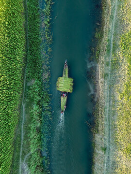 Aerial view of a boat carrying harvested jute along a narrow river surrounded by lush green fields in Kushtia, Khulna Division, Bangladesh.