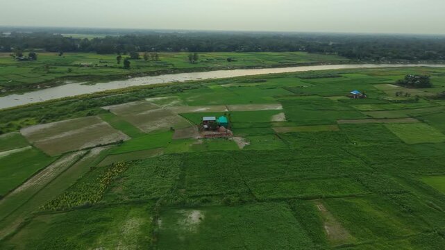 Lush green rice paddy fields and meandering river aerial view tranquil rural landscape