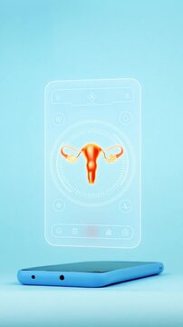 Doctor using mobile app interface on smartphone to analyze anatomical uterus, innovative technology for early diagnosis of uterine cancer, fibroids and tumors. Light blue background.