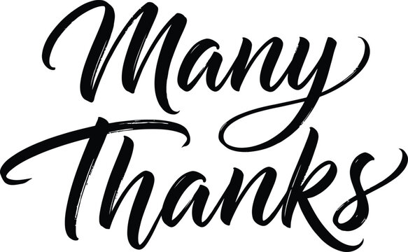Many thanks hand lettered calligraphy inscription with calligraphy lettering handwritten typography gratitude appreciation illustration creative greeting isolated positive
