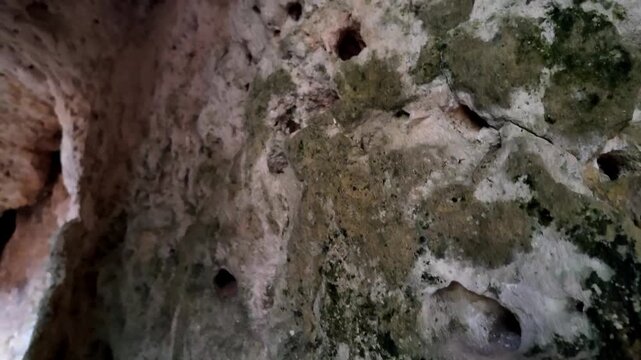 Xemxija, Malta 29.07.2026 - Heritage trail, Roman Baths, shelf like cut in the stone Dark cave walls show rough, textured surfaces. Greenish moss grows on damp, uneven stone. Light filters through nar