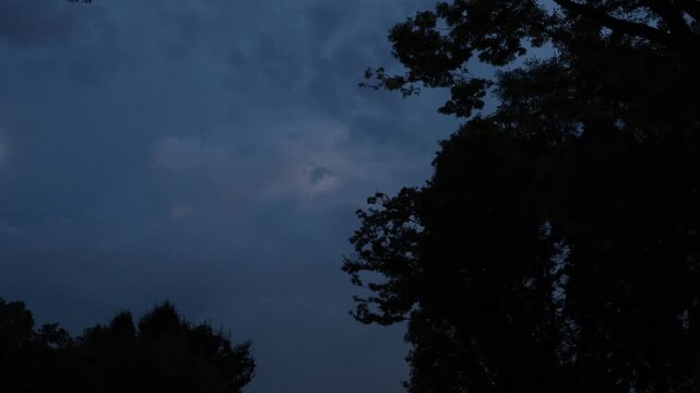 夕暮れの空で激しく光る稲妻