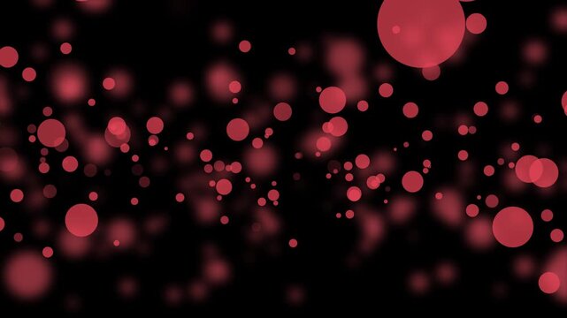 Background scattered soft-focus bokeh circles of varying sizes creating a dreamy animation